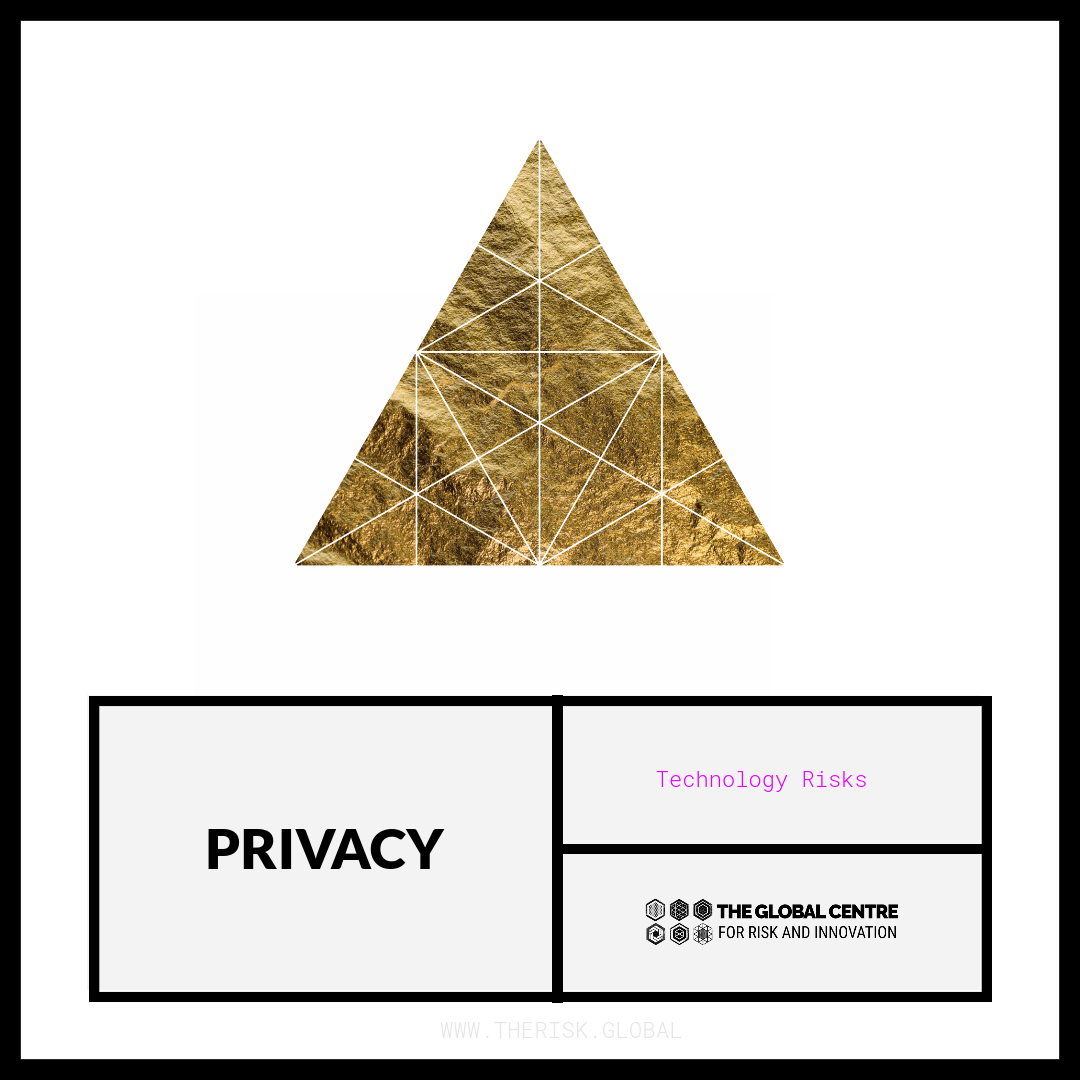 Privacy Risks