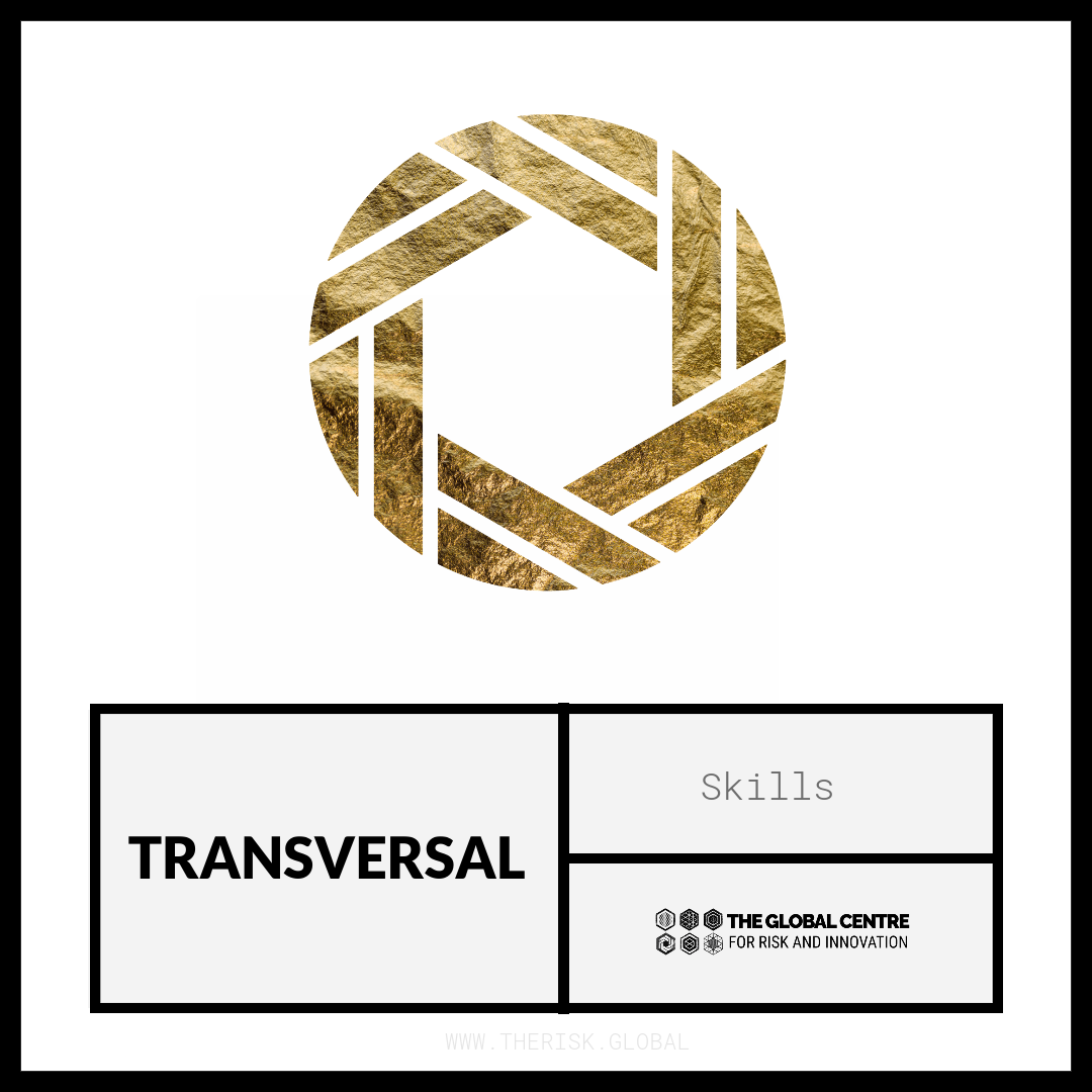 Transversal Skills
