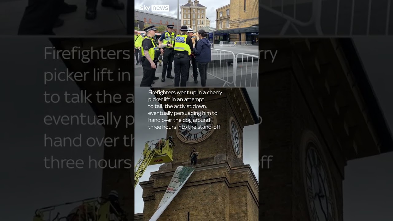 Protester clutching dog climbs King’s Cross clock tower